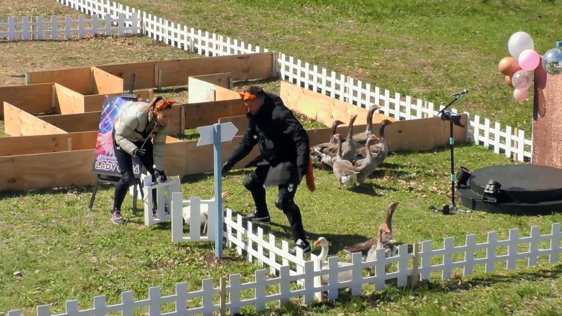 Episodio 12