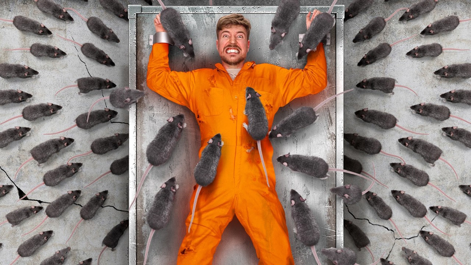 Enfréntate a tu mayor miedo para ganar $8