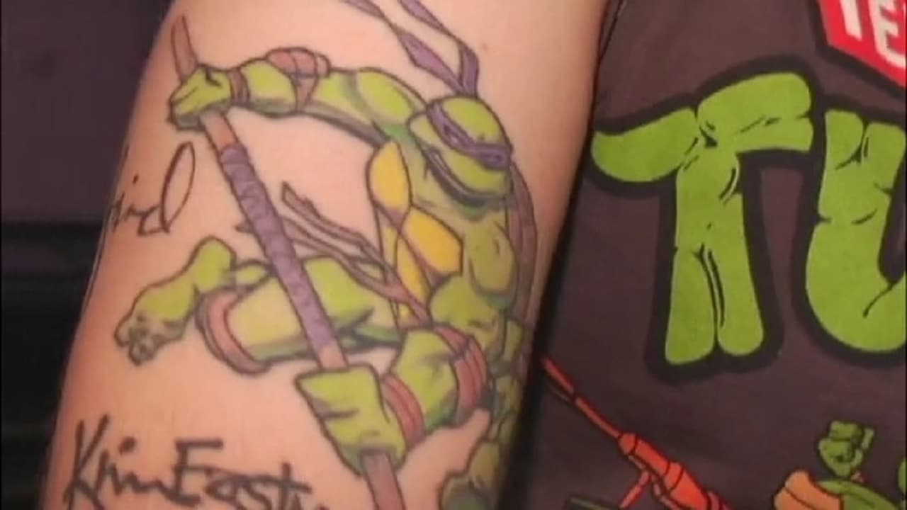 A Shellabration of a Fan-Nomenon Sensation