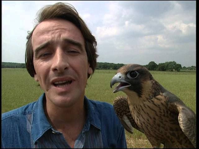 Le bêtisier des Sorciers