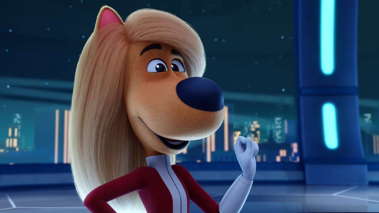 Noche en el Meowseum