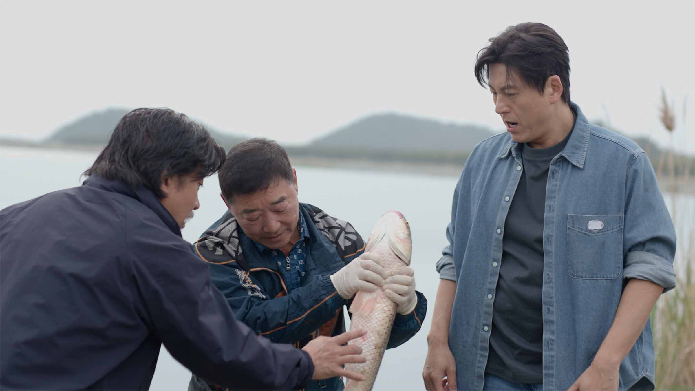 Episodio sin título