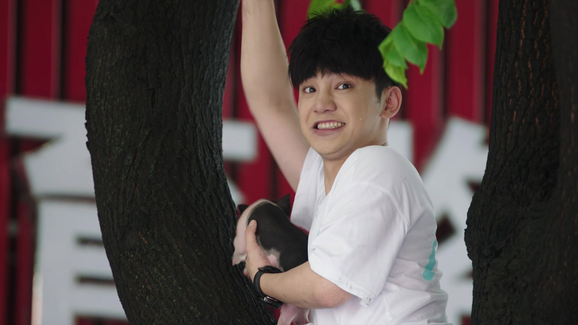 Episodio sin título