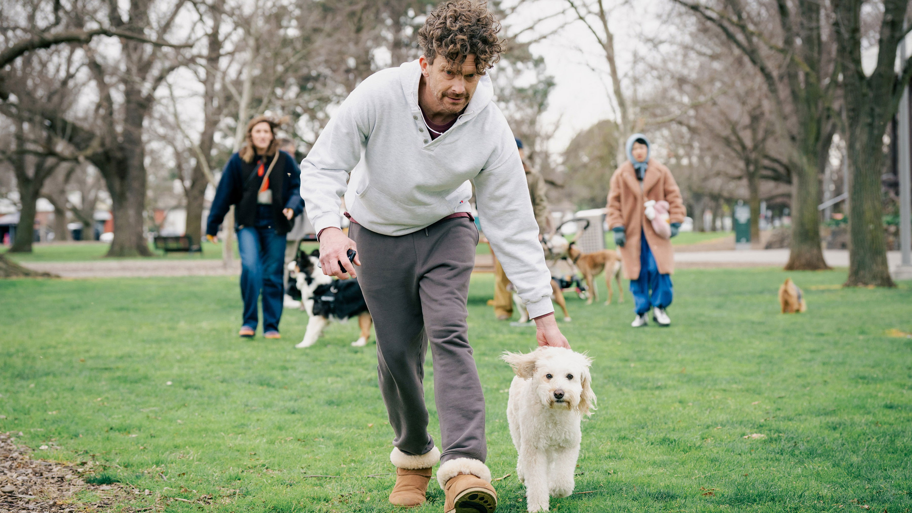 Tú, yo y el perro hacen tres