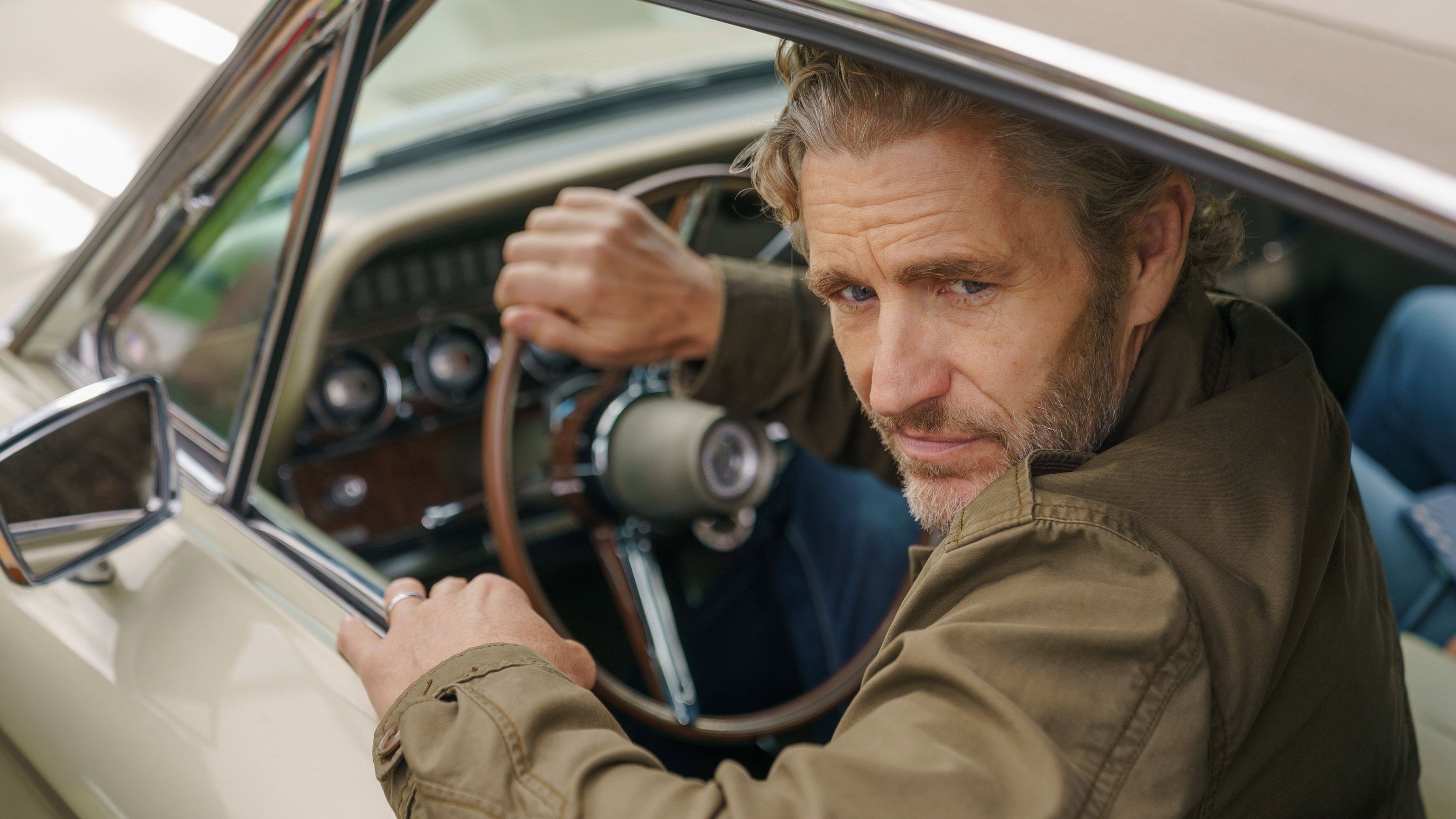 Gato entre los palomos