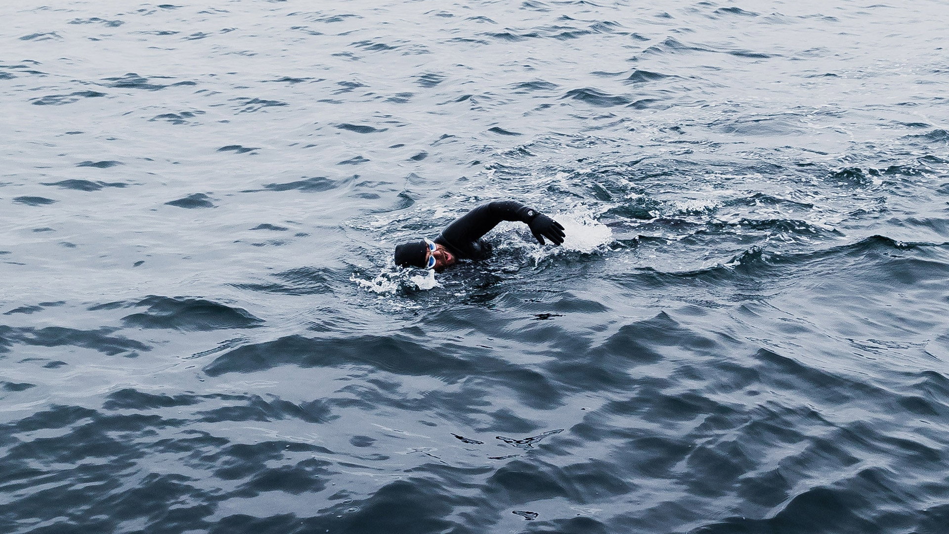 El oeste de Islandia, Reino del Toro