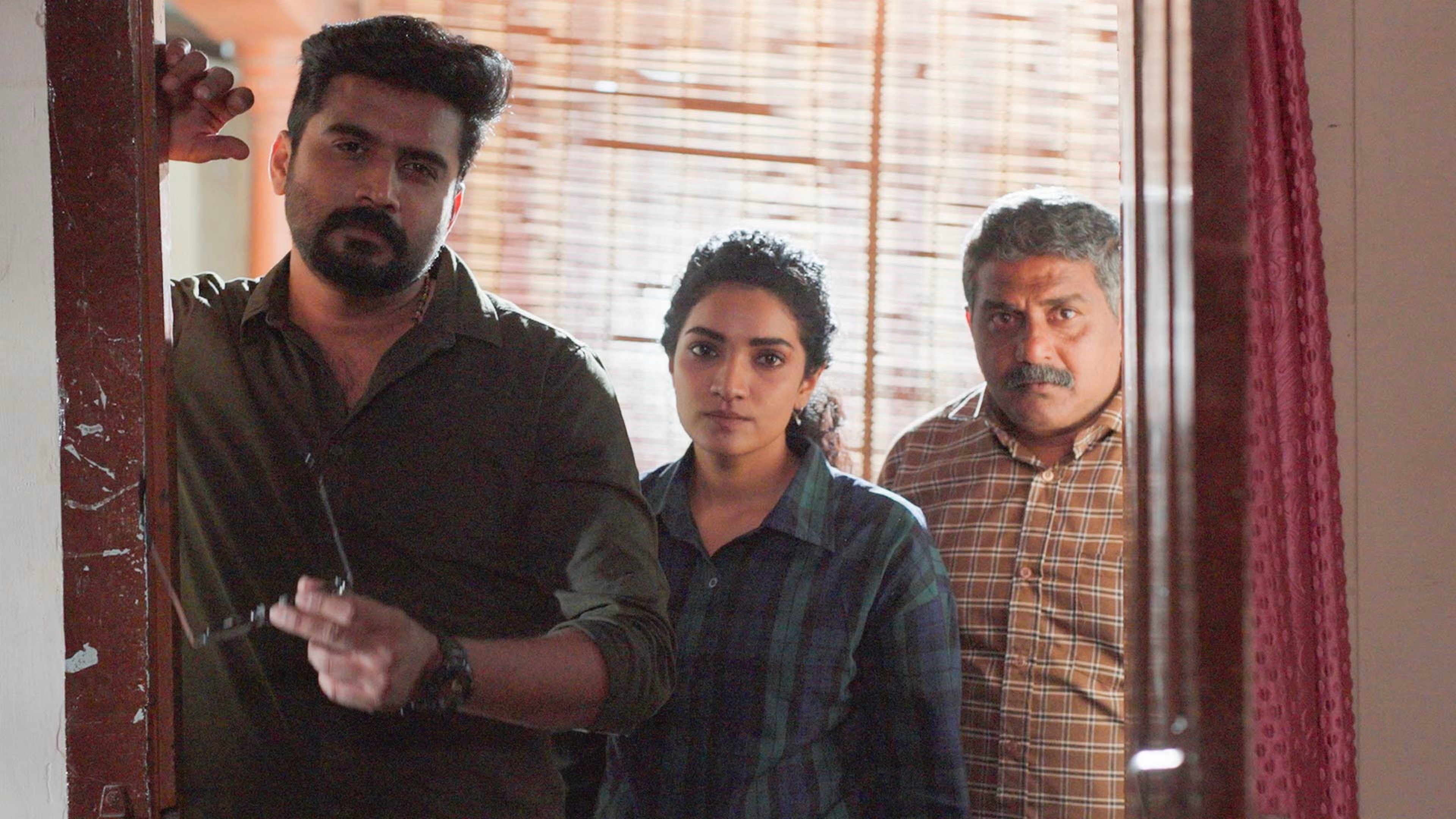 Palabras Transversales