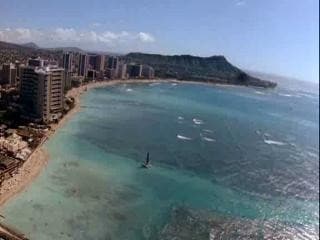 The Ugliest Dog in Hawaii