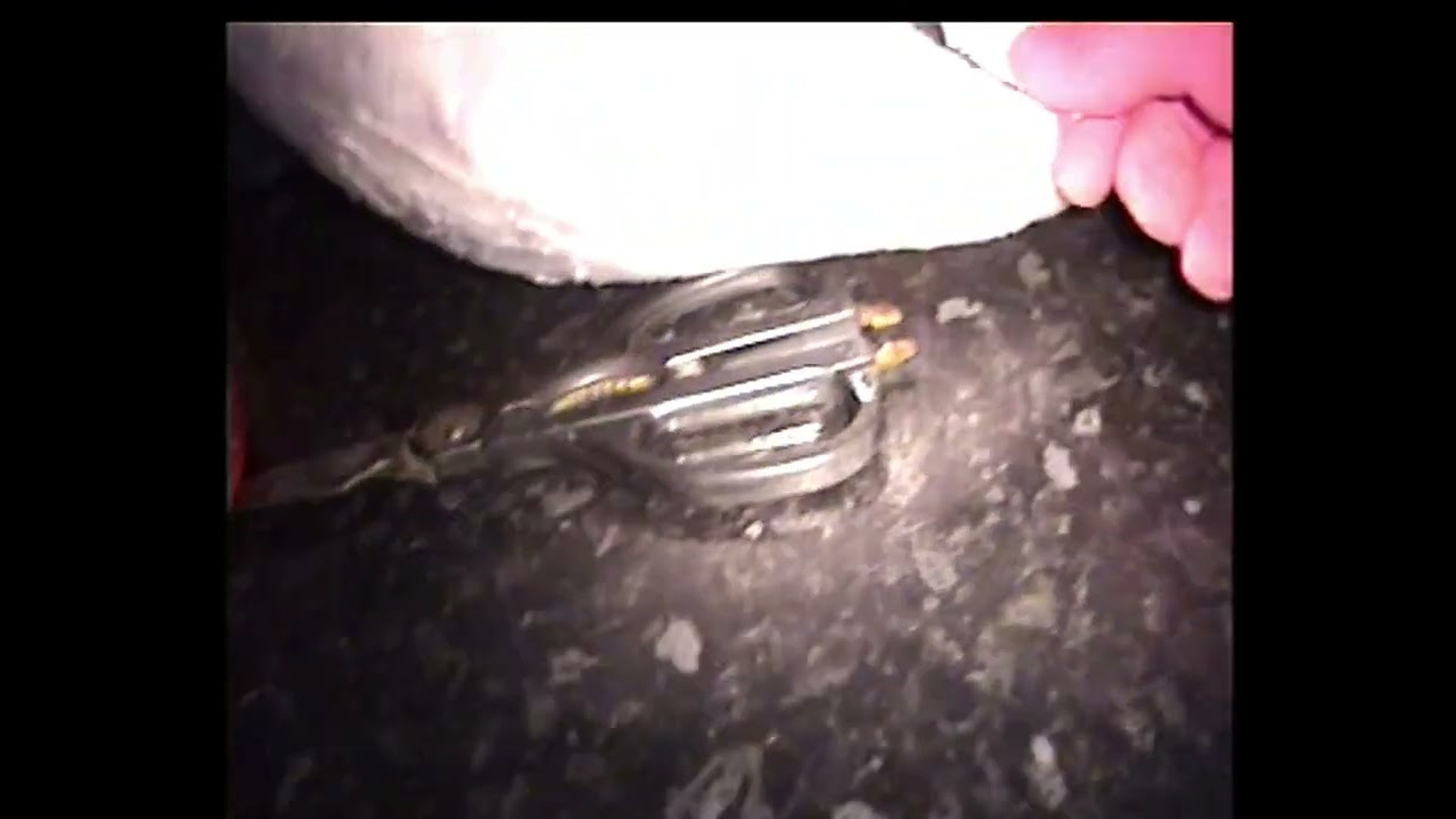 El incidente de Halloween de Max