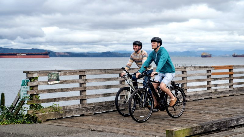 Vigilantes del Bahía