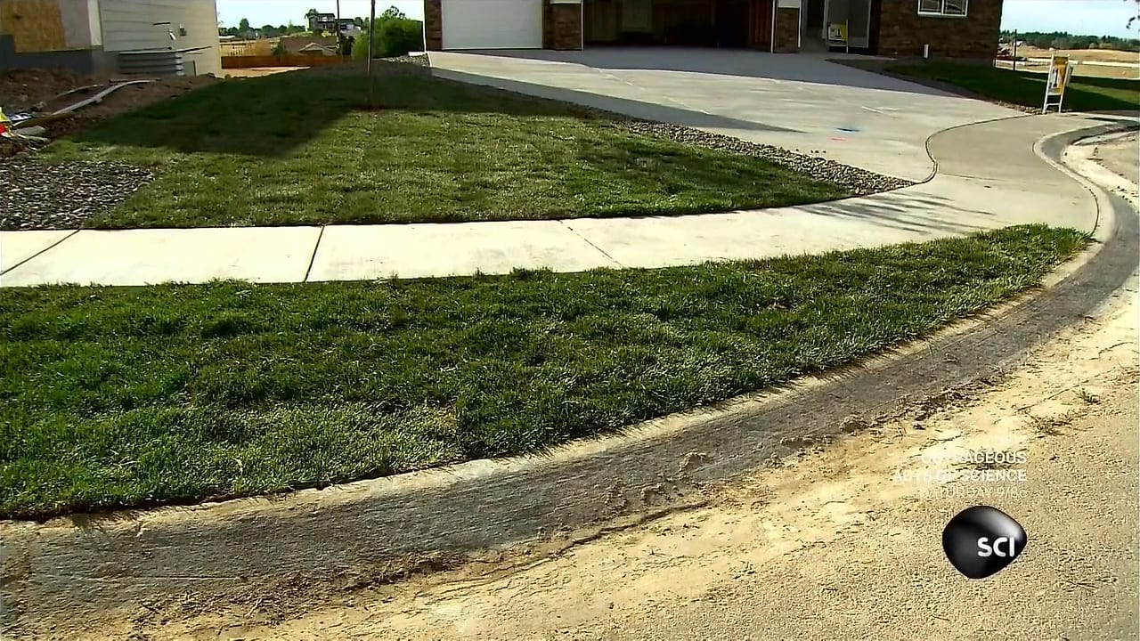 Top : Thanksgiving Essentials