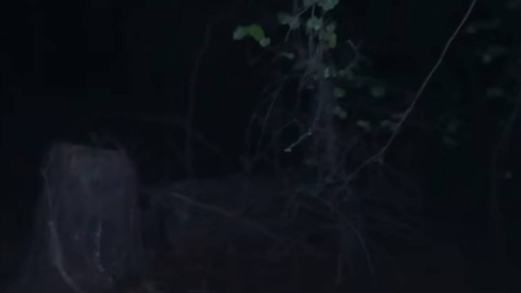 Episodio sin título