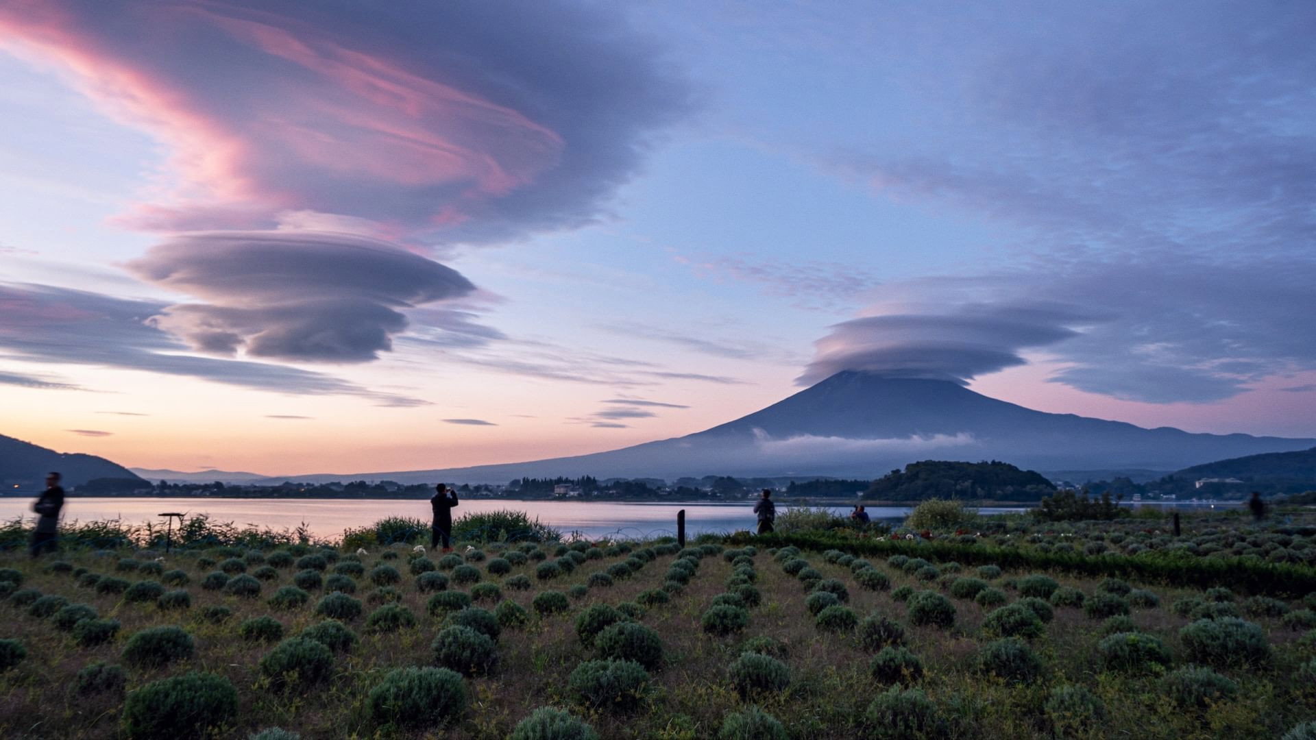 Kasagumo: Guardián de Monte Fuji