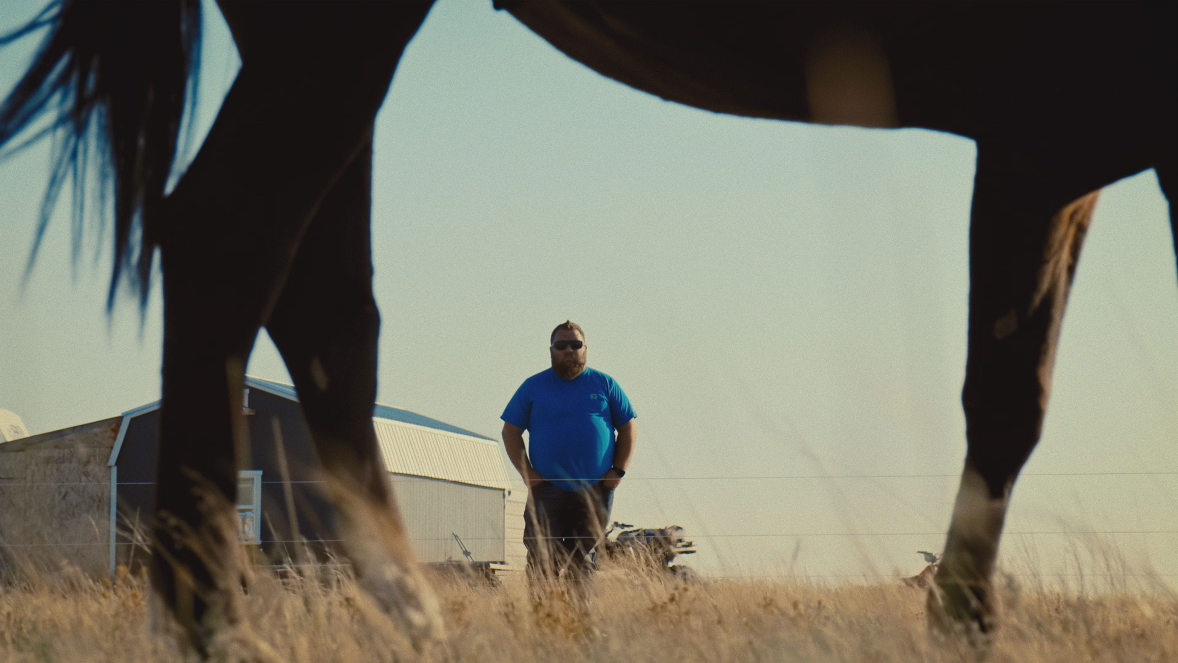 Defensor de la orilla