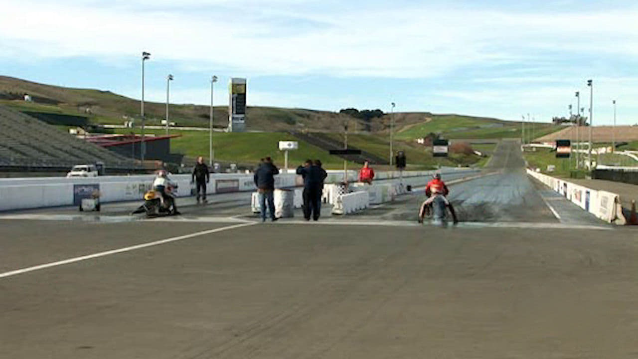 Young Scientist Special