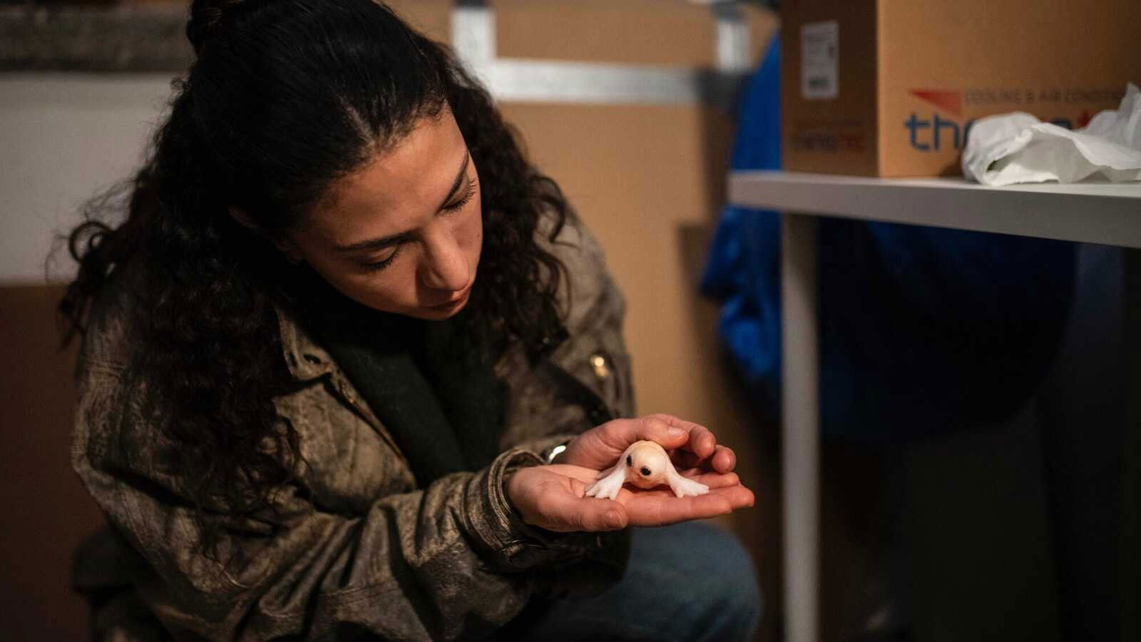 Episodio sin título