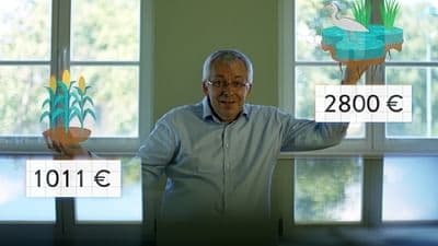 Episodio 8