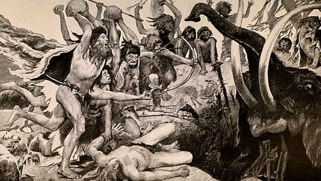 Episodio 8