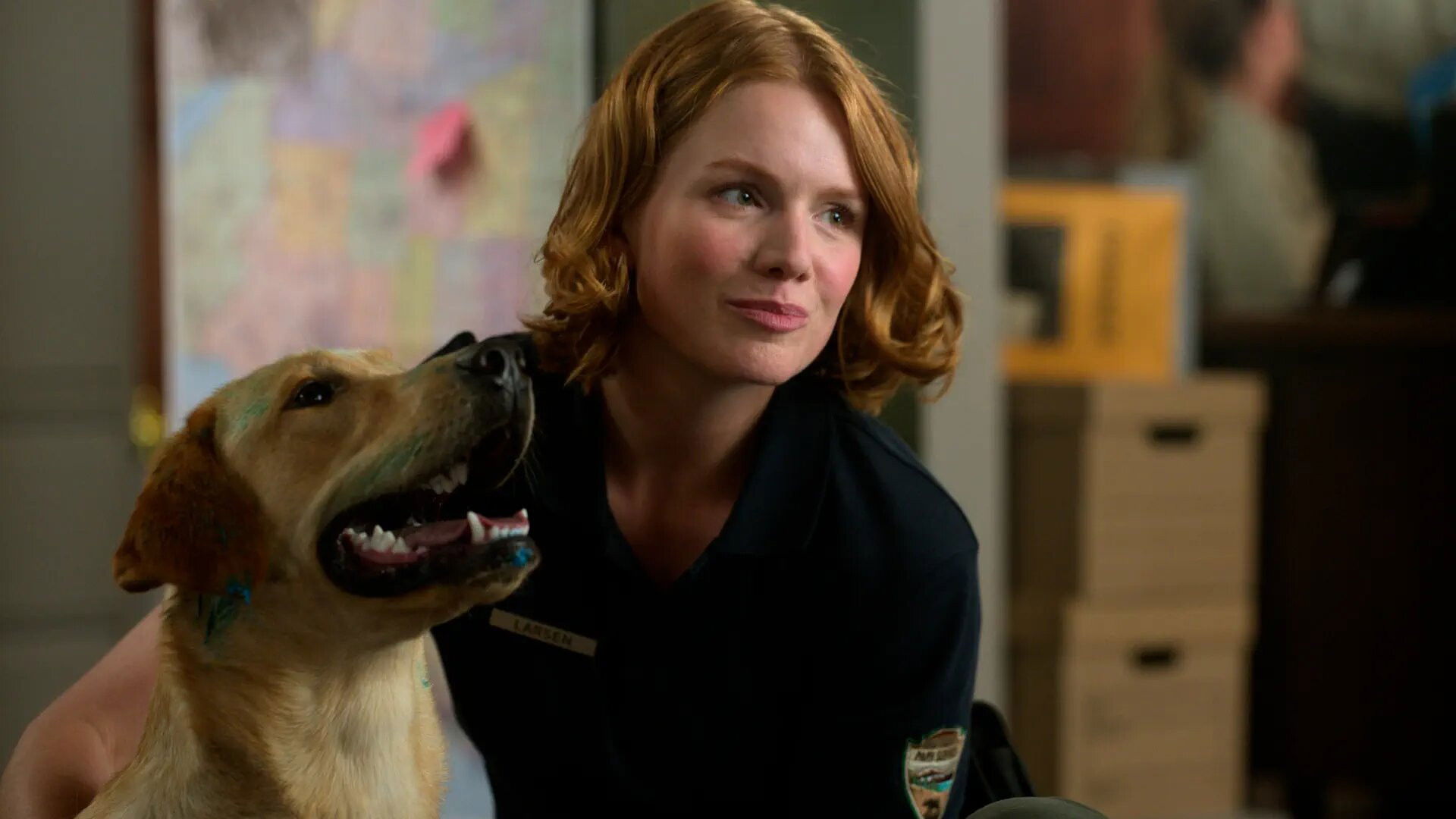 Rastro de lo Desaparecido