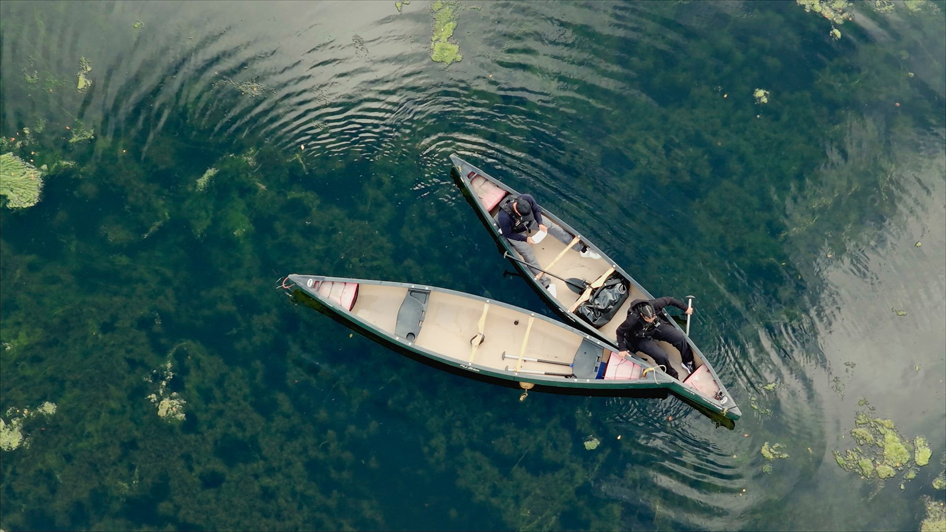 Quiero a mi hermano de vuelta