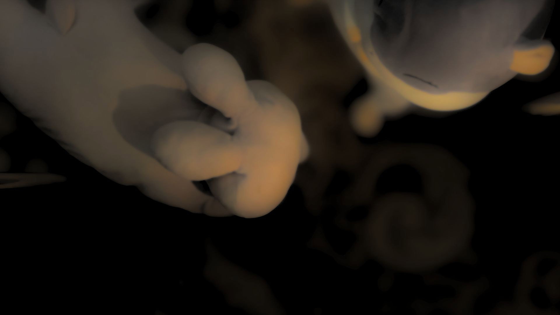 La Señal Antes del Amanecer