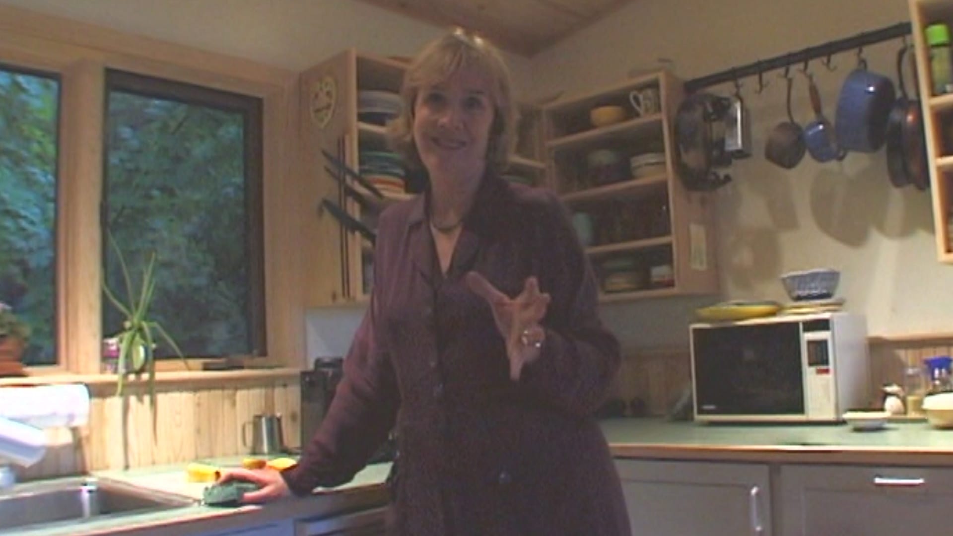 An Introduction to David Lynch