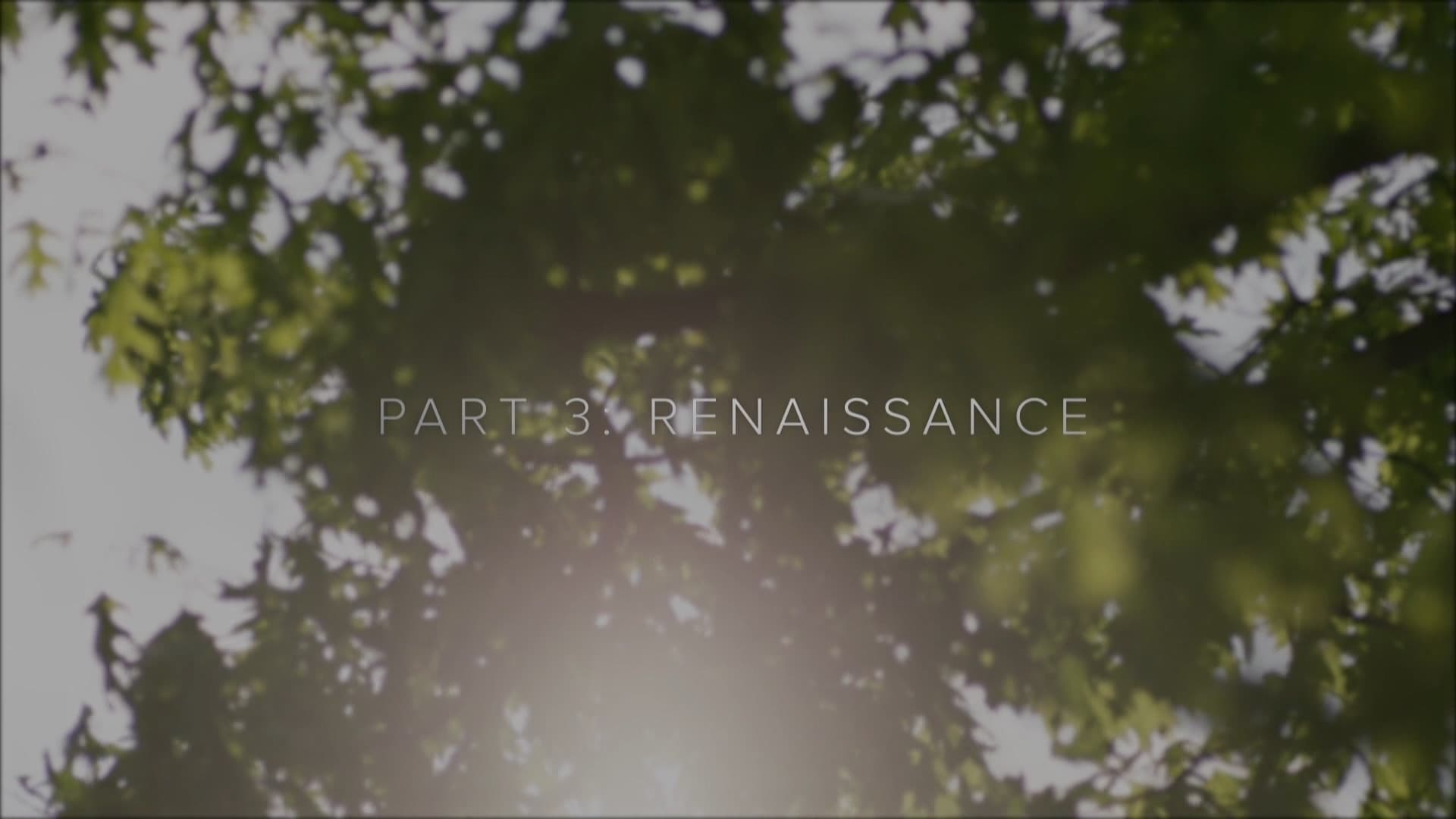 Twin Peaks: The Phenomenon Part