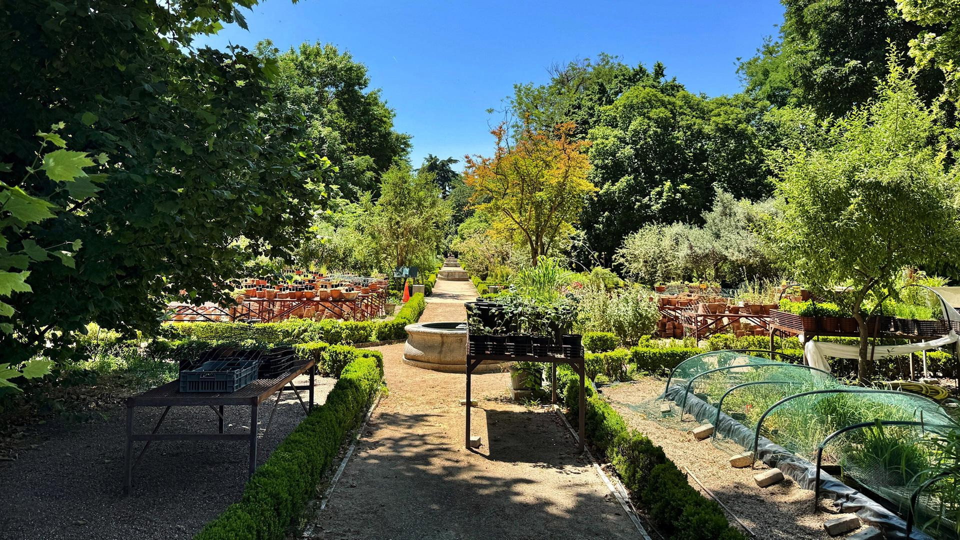 El Jardín Botánico Real de Madrid