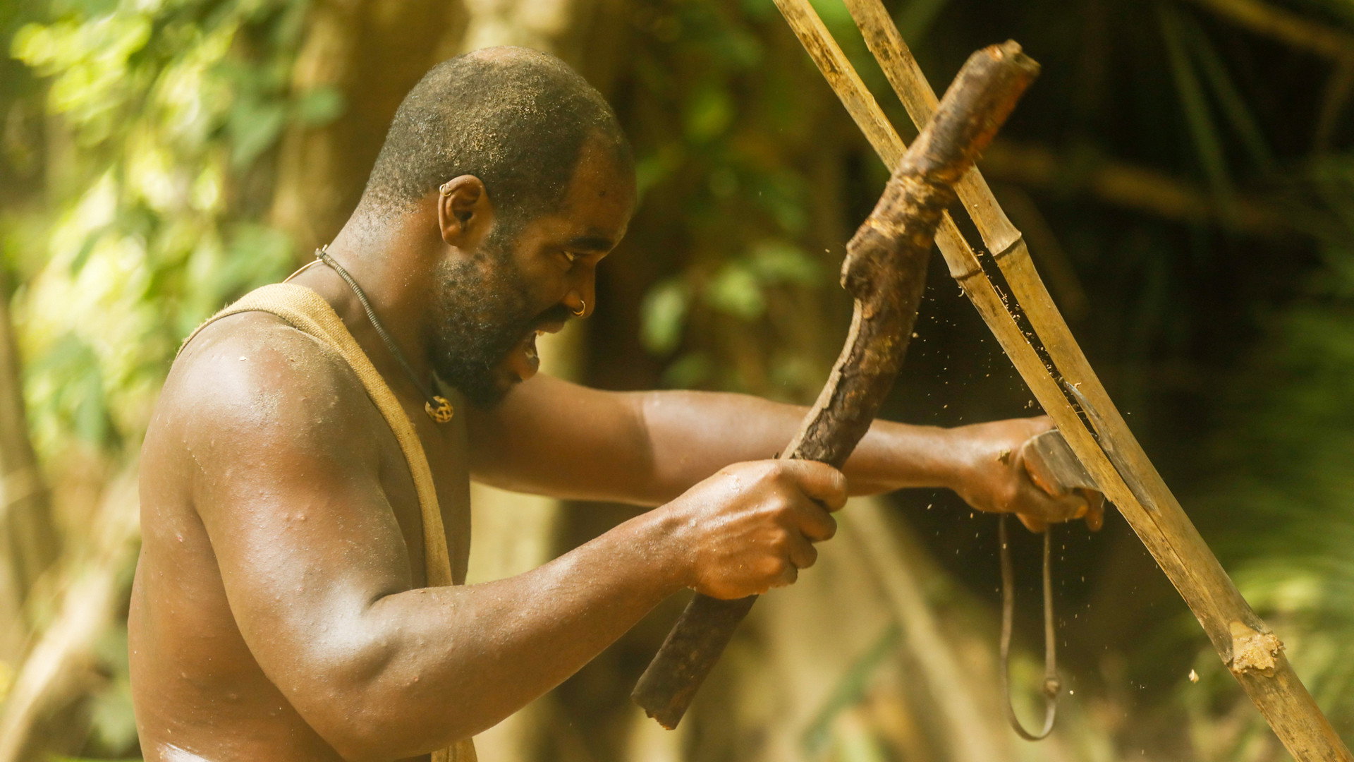 Schooled by the Jungle