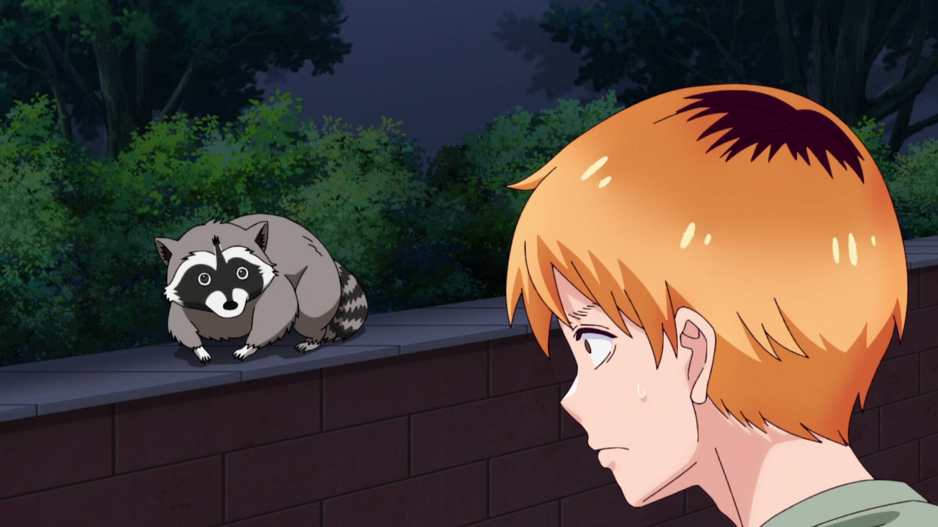 Episodio sin título