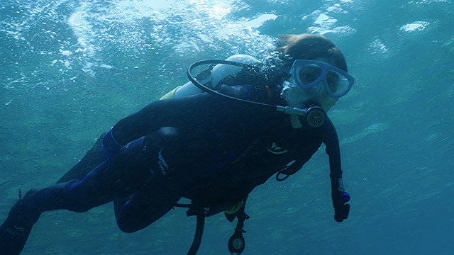 Episodio sin título