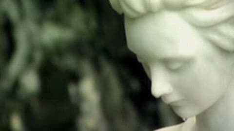 Episodio sin título