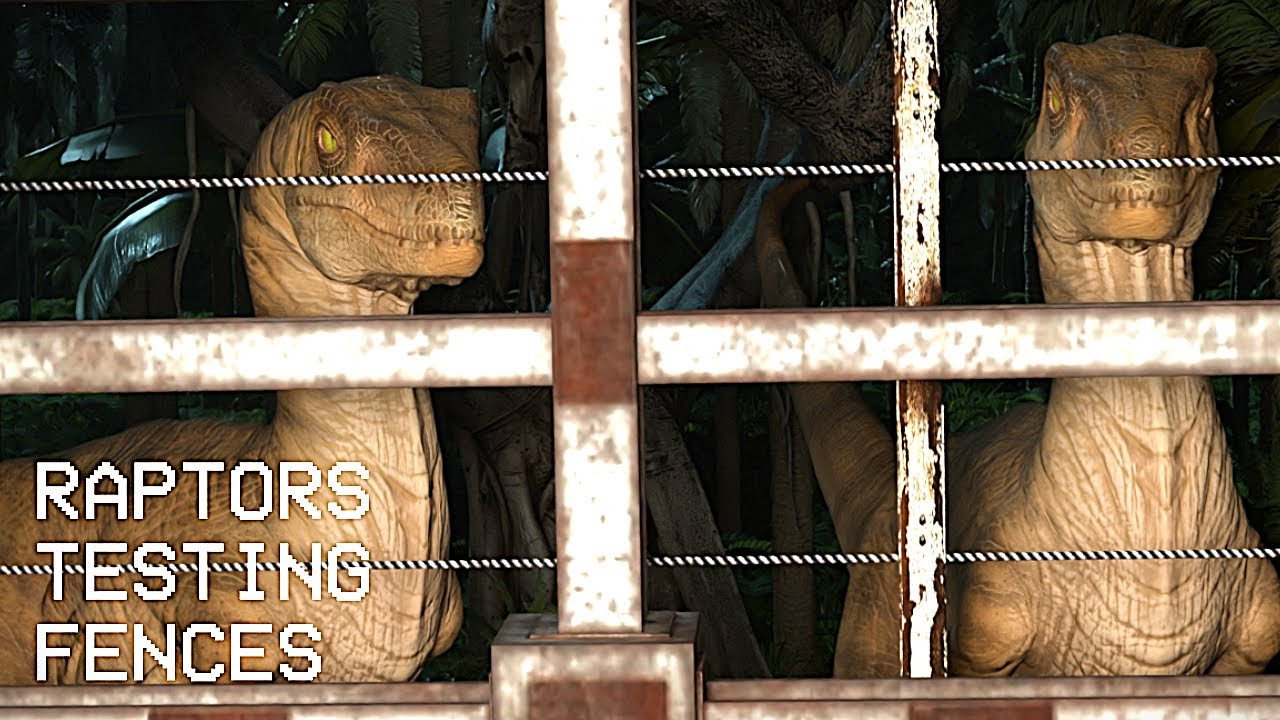 Raptors probando cercas