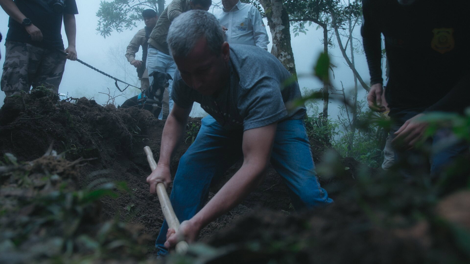 Episodio 8