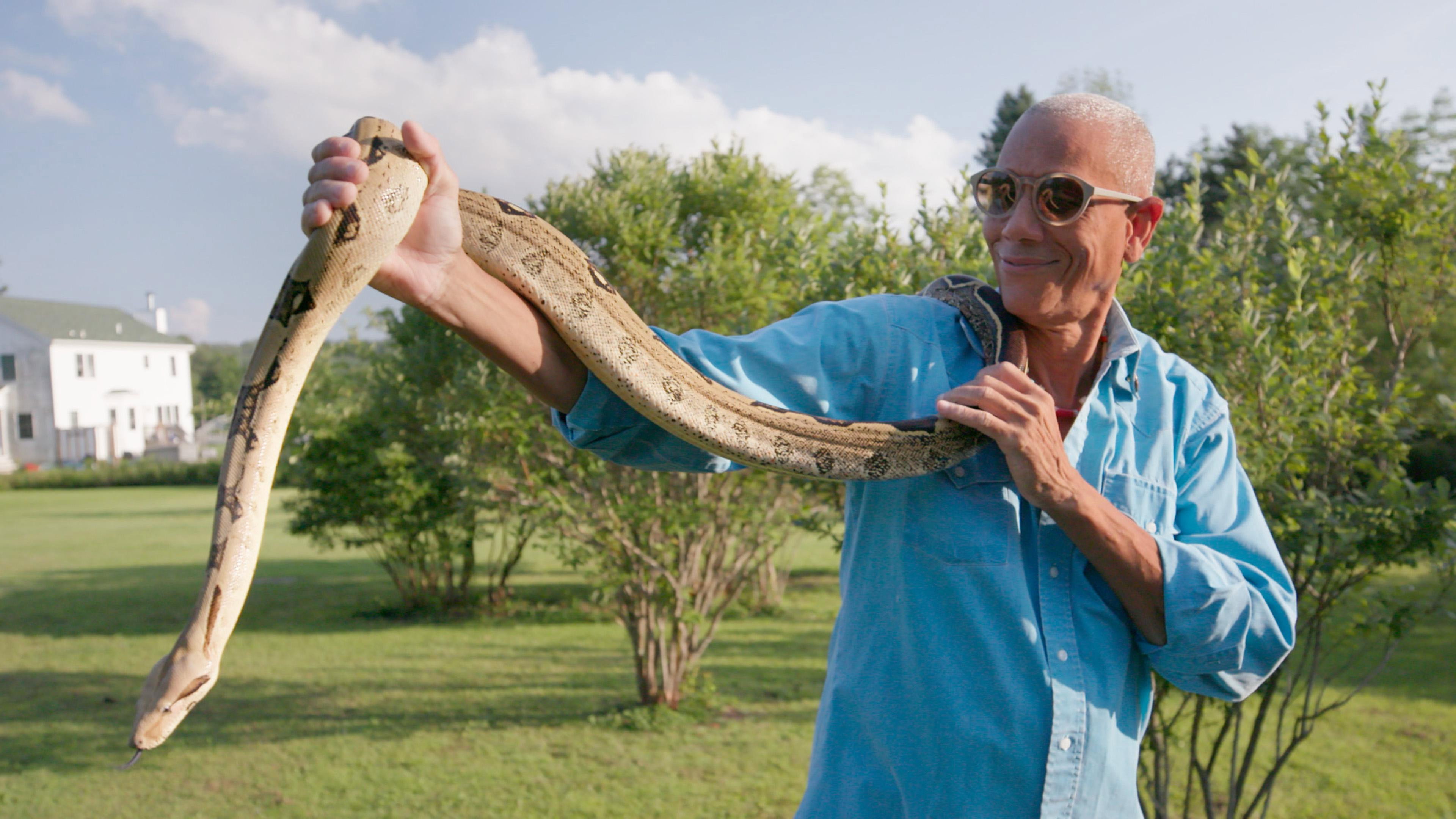 Cabeza de la Serpiente
