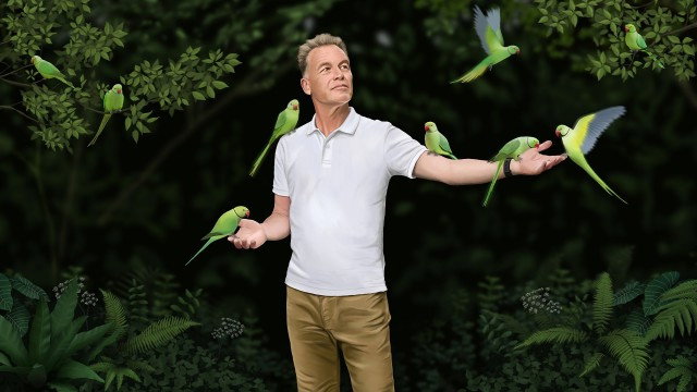 Episodio sin título