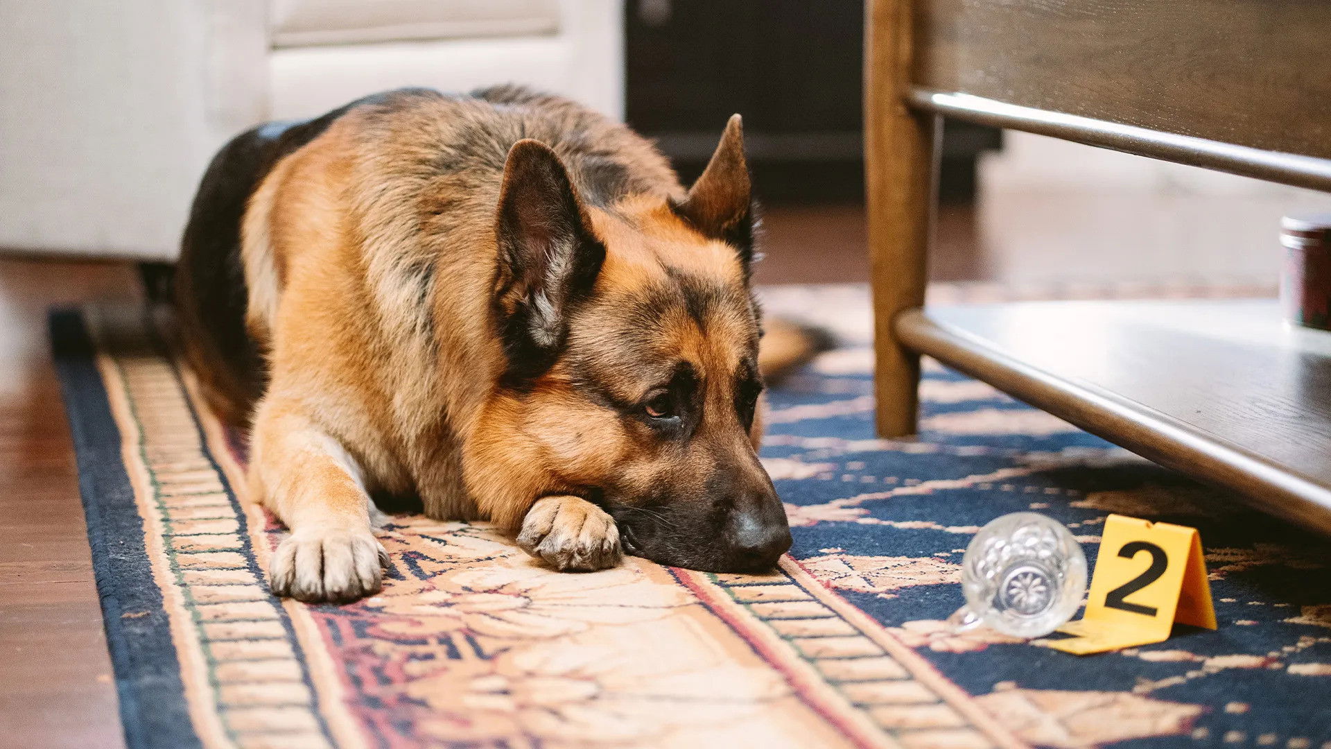 Atraco para las fiestas (1)