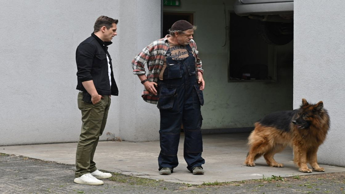 Imagen de la serie