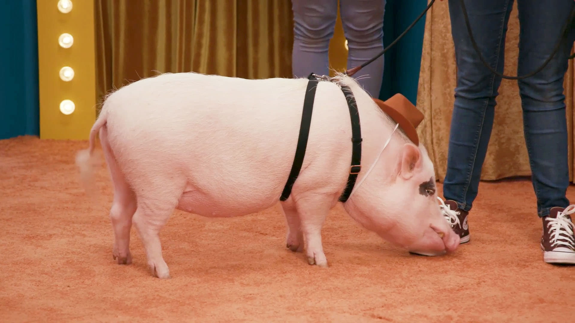 Behind the Scenes of "Sam Says "