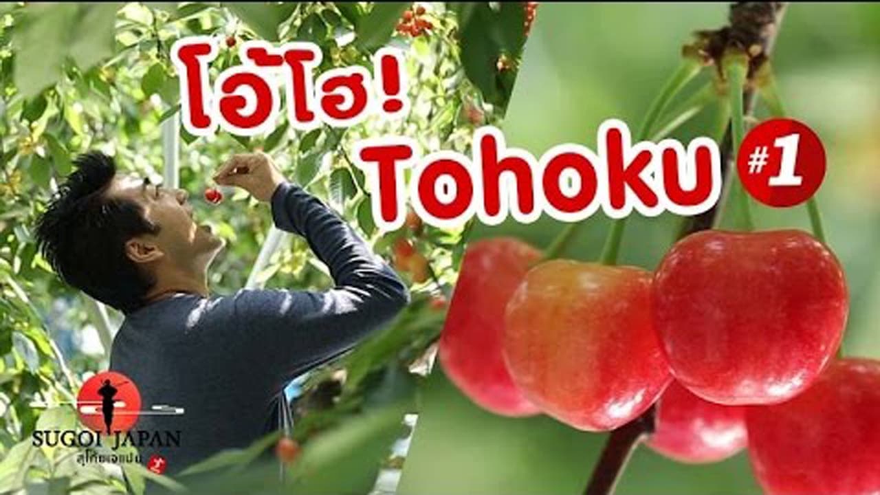 Episodio 11