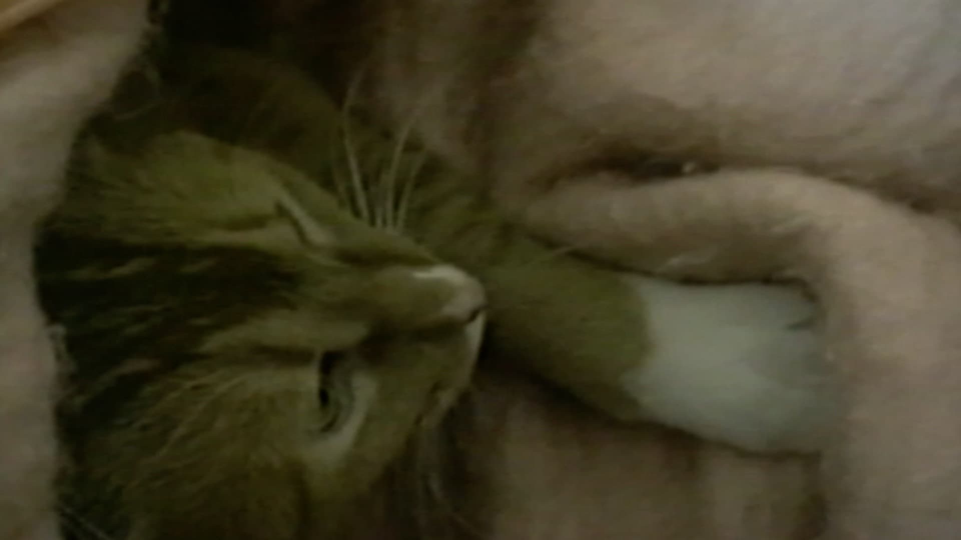 Episodio sin título