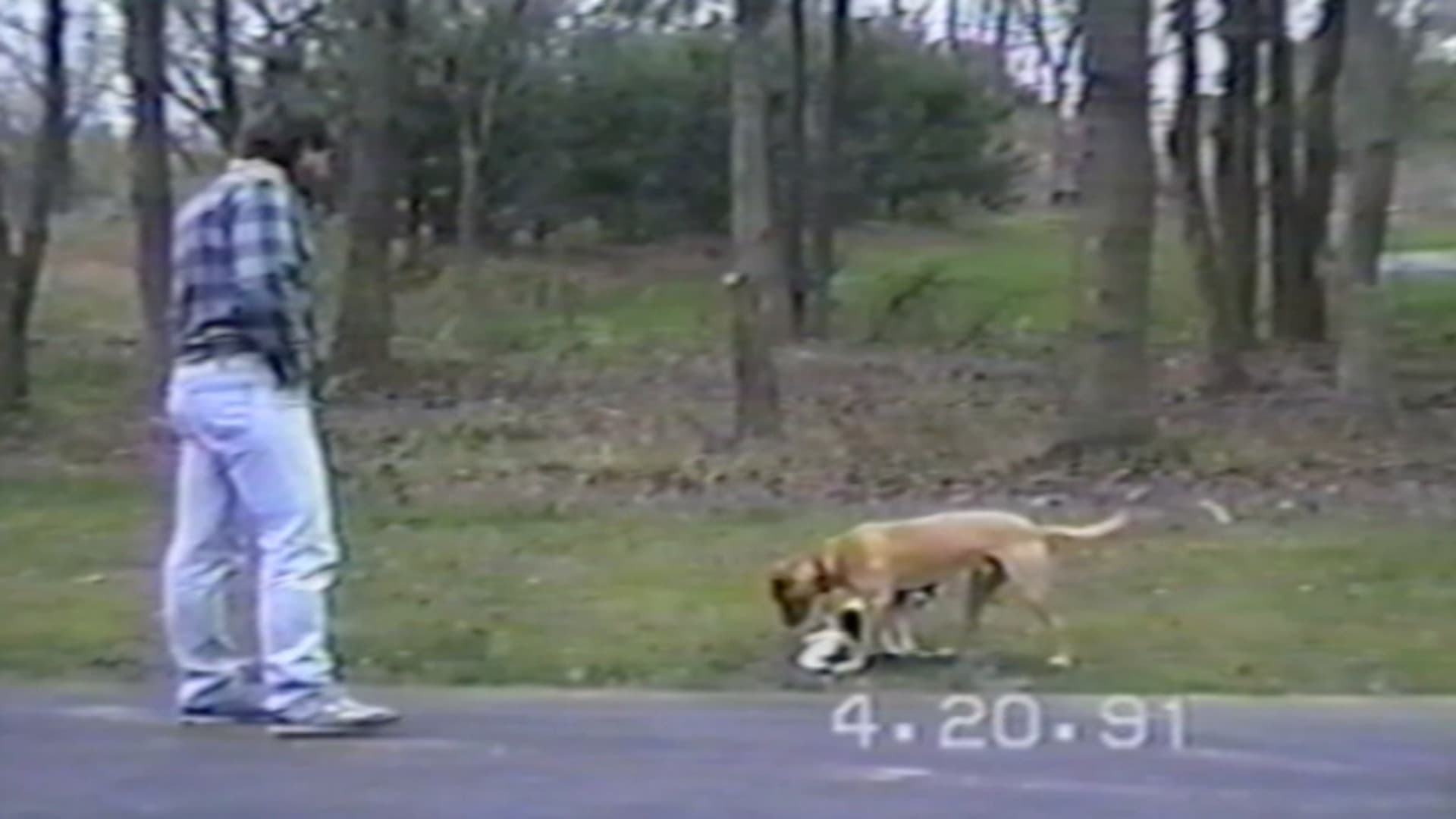 Episodio sin título