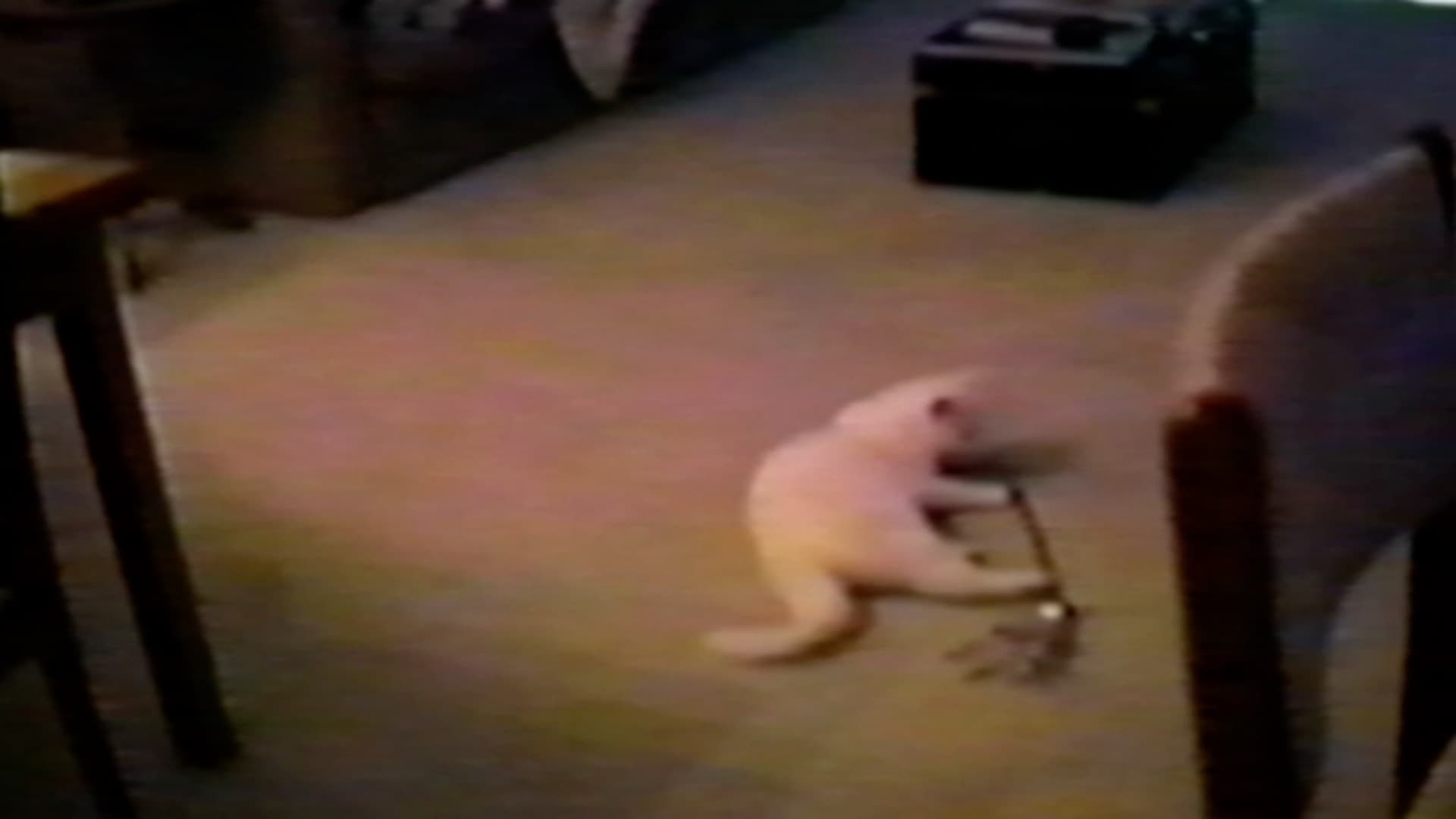 Episodio sin título