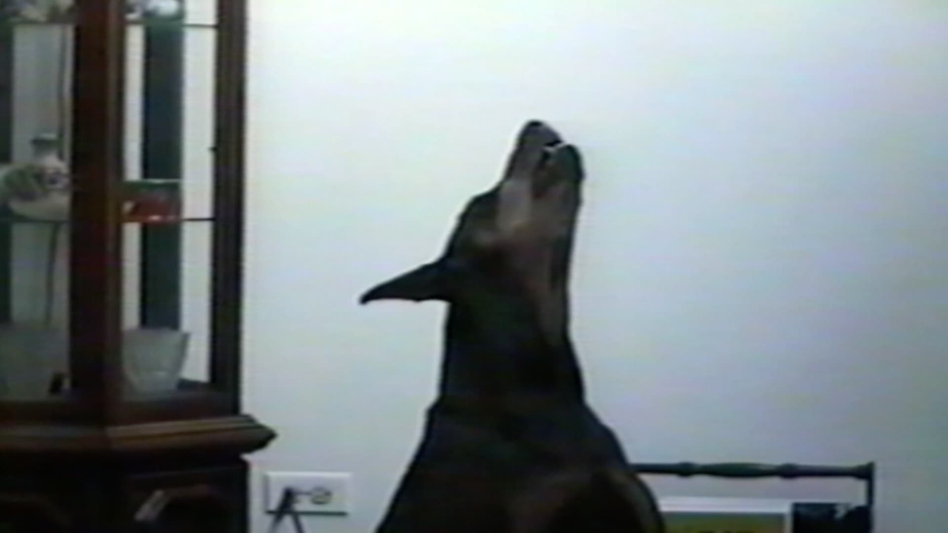 Episodio sin título