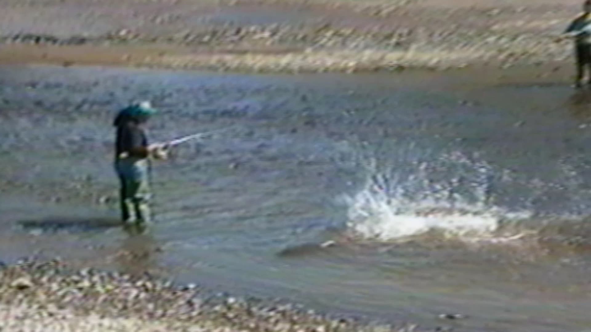 Episodio sin título