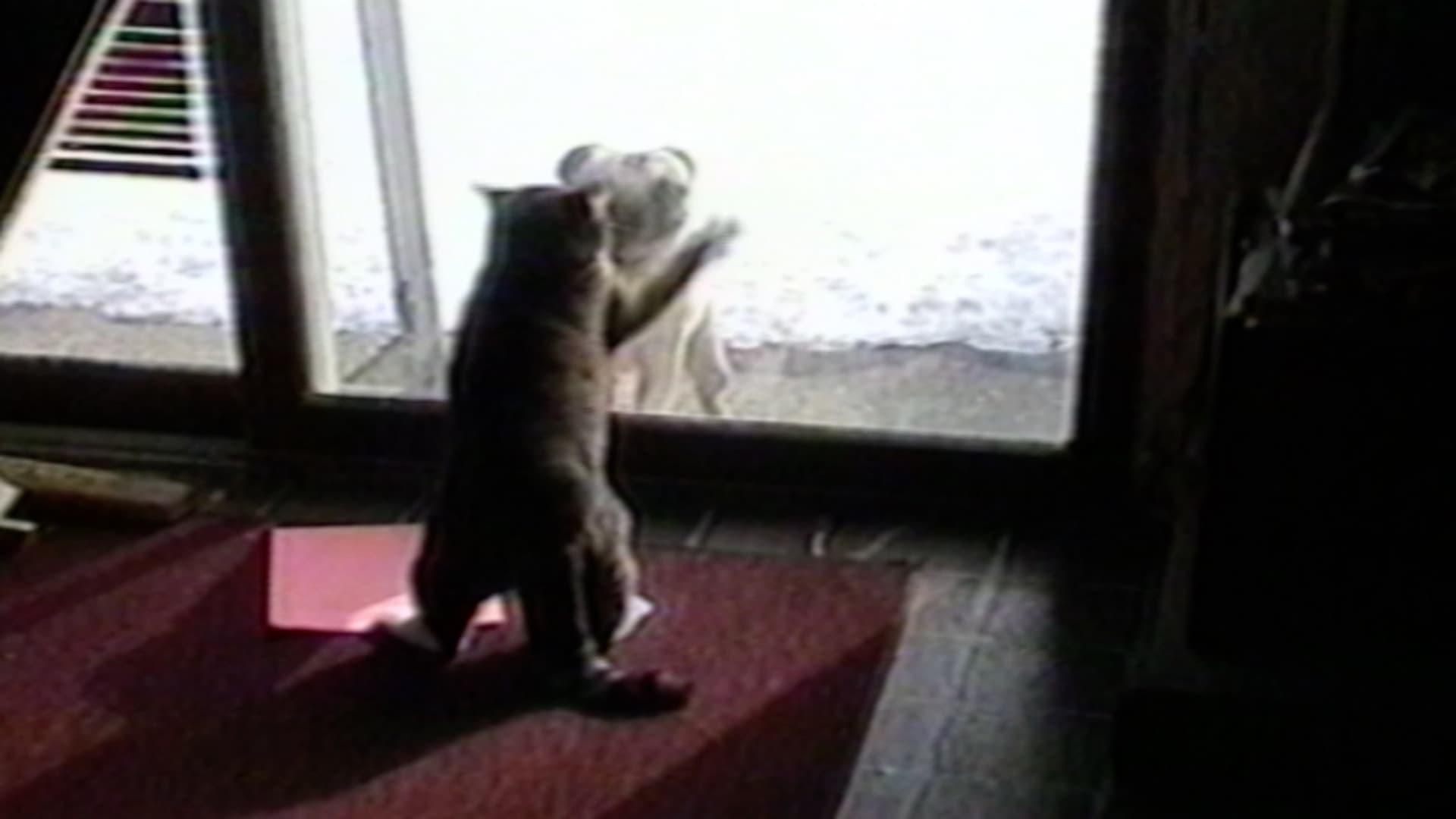 Episodio sin título