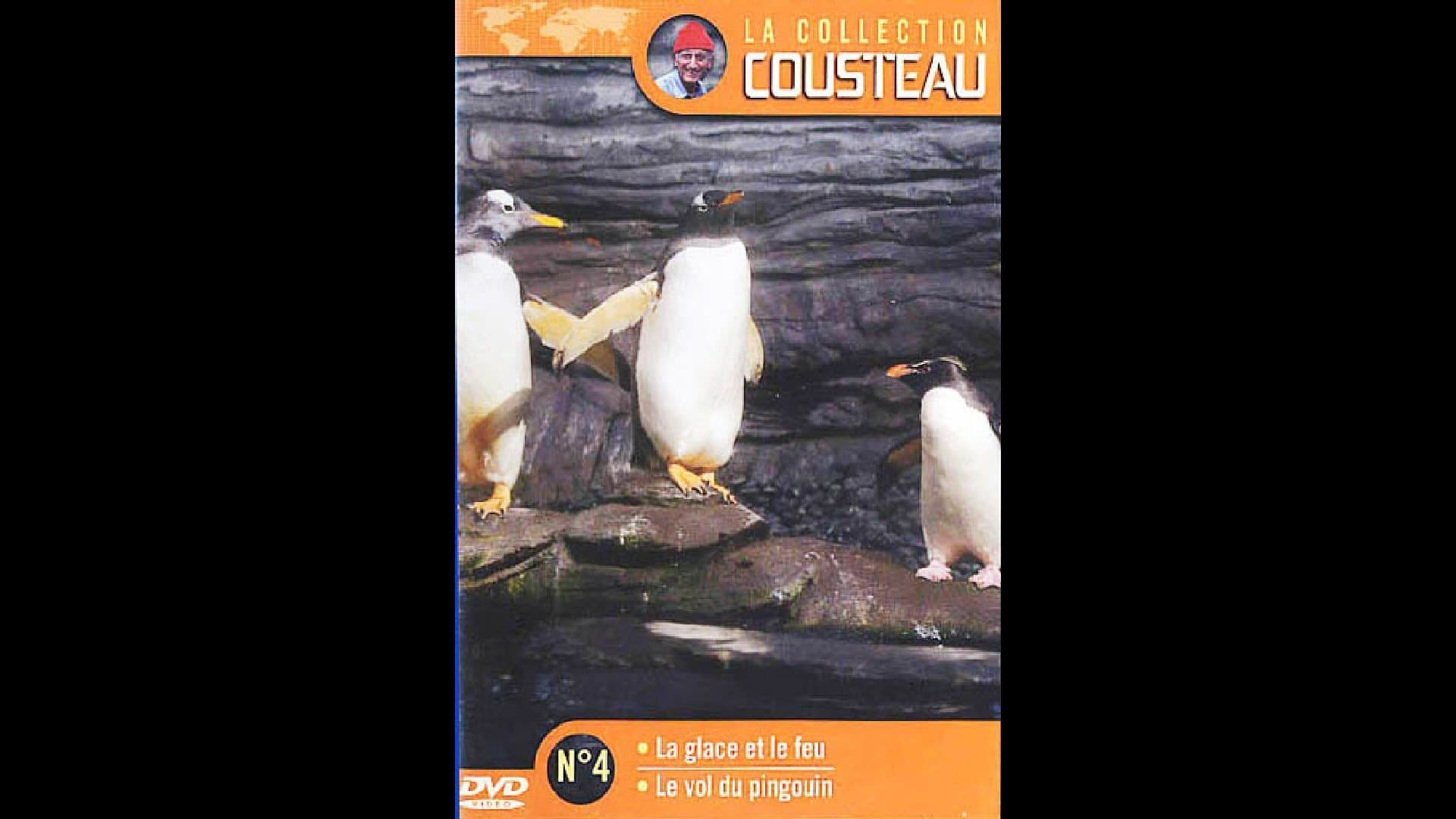 The flight of penguins