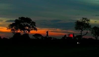 Diaries - Shot in the Dark