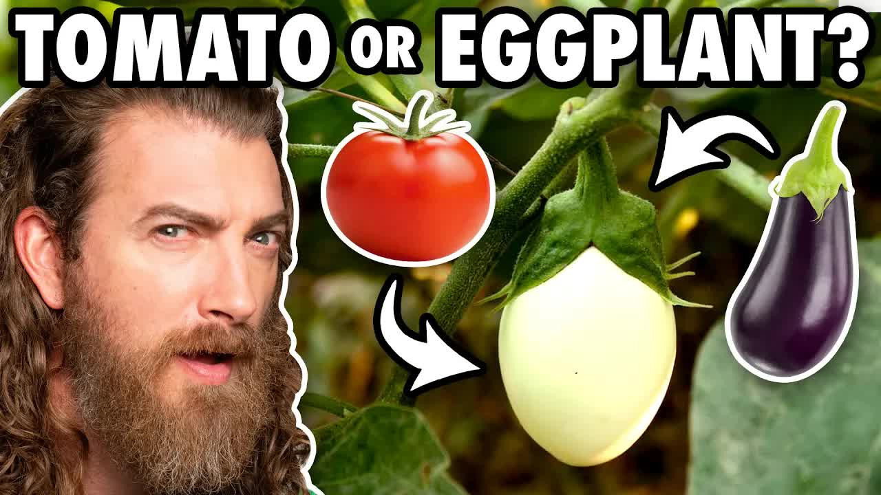 Surprising Foods Made By The Same Company