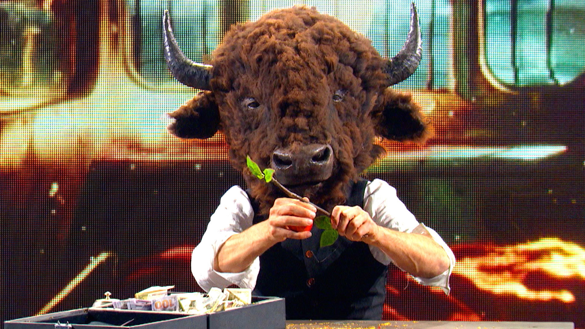 ¿Puede un Bison Buffalo Penn Teller?